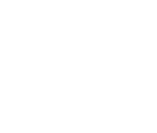 12 De Cámara
